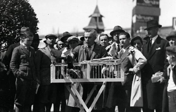 Fiera di Milano - Campionaria 1932 - Mostre della zootecnica - Esposizione avicola