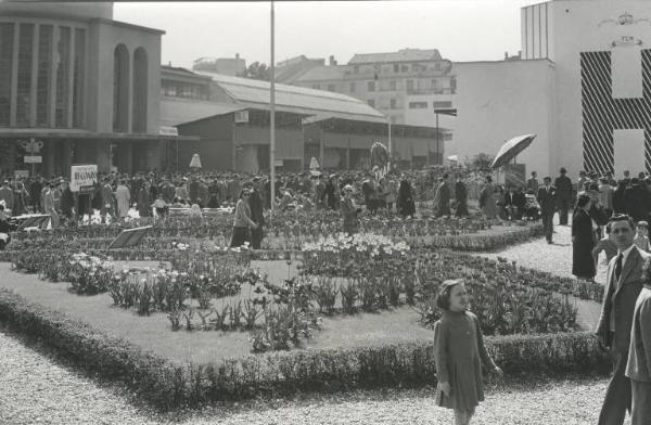 Fiera di Milano - Campionaria 1951 - Largo X adibito alla Mostra orto-floro-arboricola