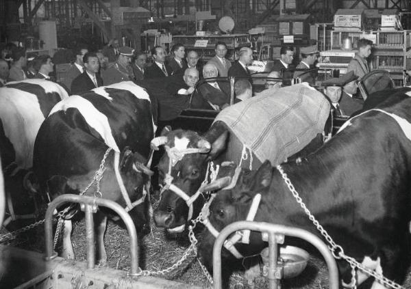 Fiera di Milano - Campionaria 1955 - Visita del presidente della Repubblica Luigi Einaudi in occasione della inaugurazione