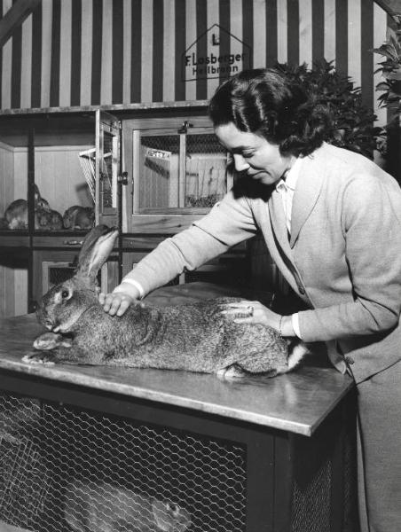 Fiera di Milano - Campionaria 1957 - Padiglione attrezzature per stalle, materiale avicolo, veterinaria, articoli zootecnici, mangimi, integrativi - Interno