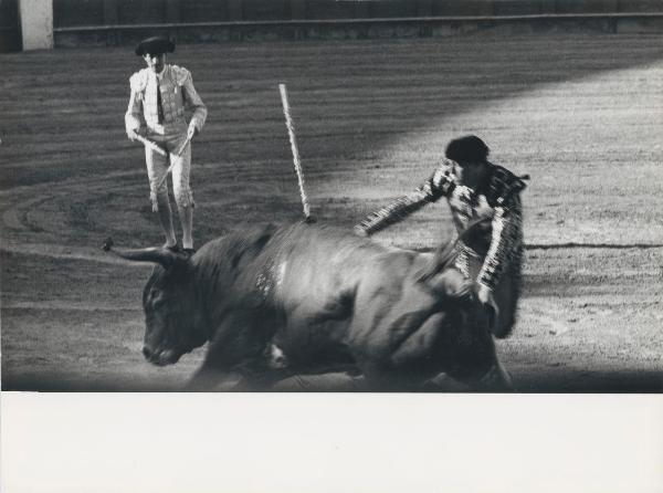 Spagna - Corrida - Toreri e toro nell'arena