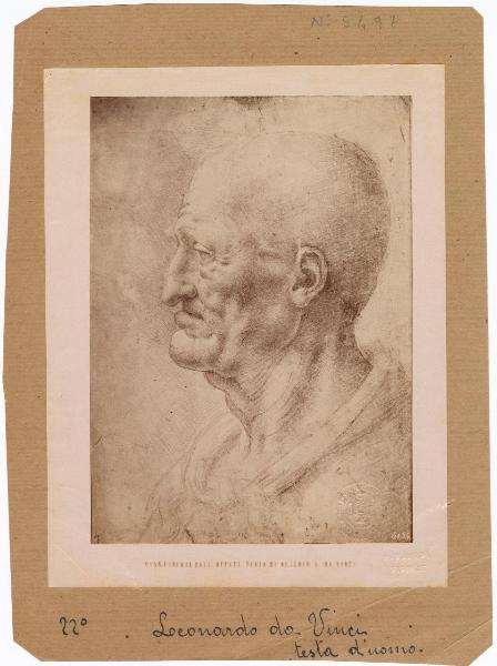 Leonardo da Vinci - Testa di vecchio - Disegno - Firenze - Uffizi - Gabinetto dei Disegni e delle Stampe