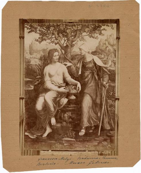 Melzi, Francesco - Vertumno e Pomona - Dipinto - Olio su tavola - Berlino - Staatliche Museen - Gemäldegalerie
