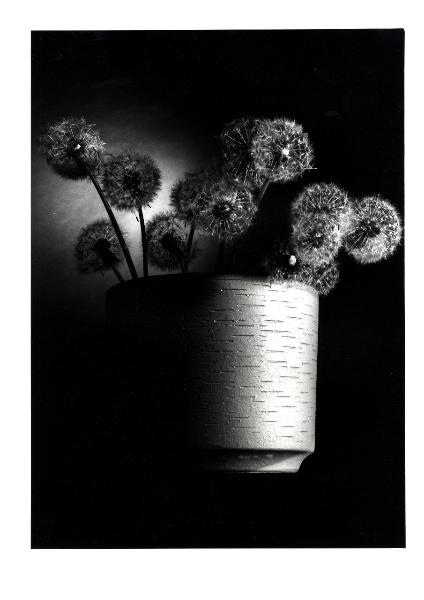 Attività didattica - Esercitazioni: still life - Oggetti - Vaso con fiori - Composizione
