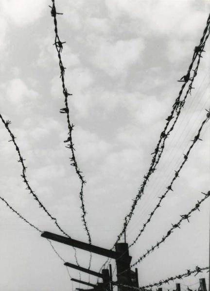 Polonia, Lublino - Campo di concentramento di Lublino-Majdanek - Nazismo - Reticolato con filo spinato
