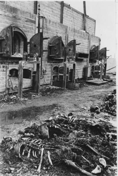 Seconda guerra mondiale - Polonia - Campo di concentramento di Lublino-Majdanek - Nazismo - Dopo la liberazione - Crematorio, interno - Forni crematori con resti umani - Scheletri