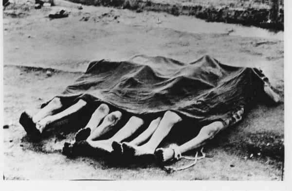 Seconda guerra mondiale - Nazismo - Campo - 4 cadaveri scheletriti nudi insepolti coperti con lenzuolo