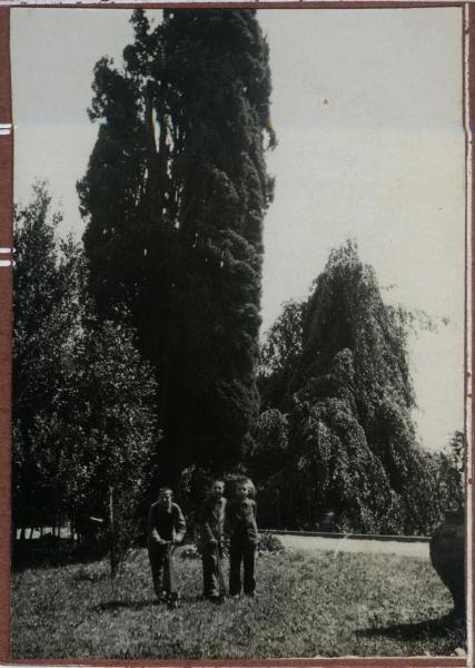 Alzate Brianza, Verzago - Pio Istituto dei Sordi, Villa Santa Maria - Esterno, giardino - Ritratto di gruppo - Ragazzi sordi, allievi, con monopattini - Gioco