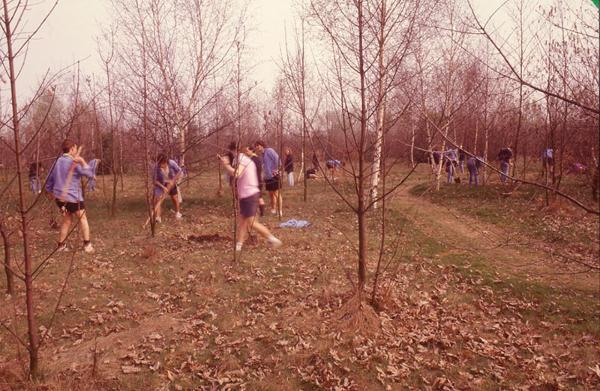 Sesto San Giovanni - Parco Nord, settore Montagnetta - Rimboschimenti - Gruppi scout partecipano alla piantumazione di nuovi alberi - Betulle - Ragazzi - Educazione ambientale