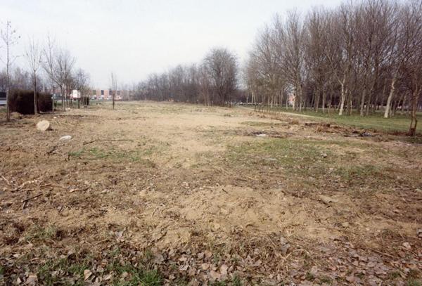 Milano - Parco Nord, settore Bruzzano - Lavori nell’area adiacente al Cimitero di Bruzzano - Terreno incolto - Filari di alberi
