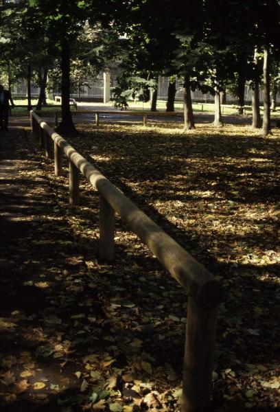 Cinisello Balsamo - Parco Nord, settore Est (?) - Aree con recinzioni in legno - Alberi