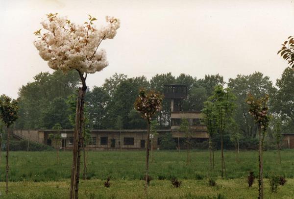 Sesto San Giovanni - Parco Nord, settore Est - Ex Palazzina Volo delle acciaierie Breda - Filari di alberi in fiore