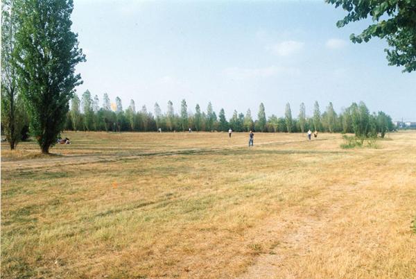Cinisello Balsamo - Parco Nord, settore Est - Filari di pioppo cipressino - Prato - Erba secca - Persone a passeggio