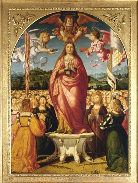 Gloria di Sant'Orsola