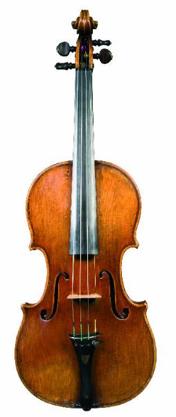 Violino