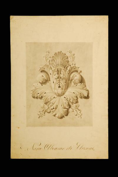 Acanto