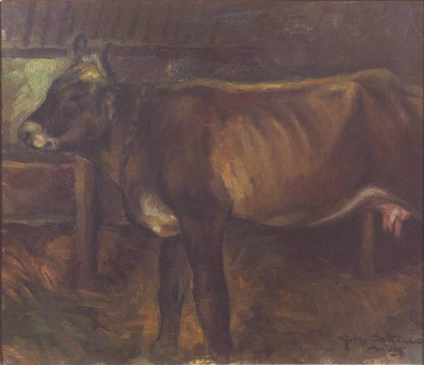 Mucca nella stalla