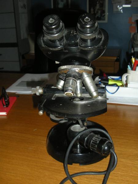 Microscopio binoculare - ottica