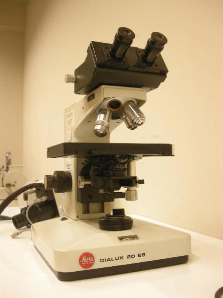 Microscopio binoculare - ottica