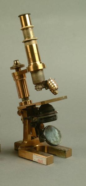 Microscopio composto Zeiss - medicina e veterinaria