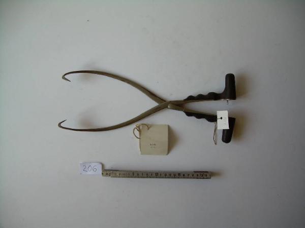 Oggetto non identificato - medicina