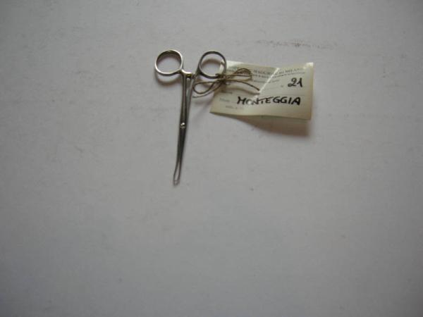 Allis tissue forceps - medicina