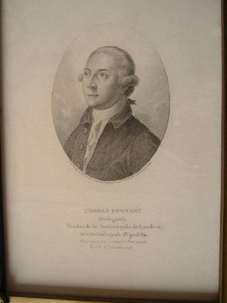 Thomas Pennant