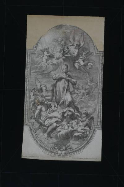 San Luigi Gonzaga in gloria