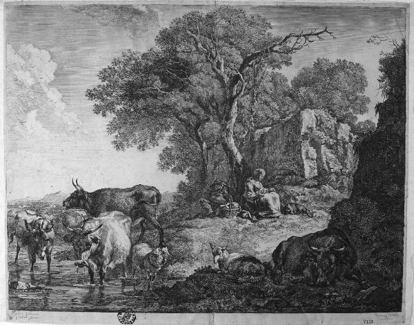 Armenti si abbeverano accuditi da una coppia di pastori