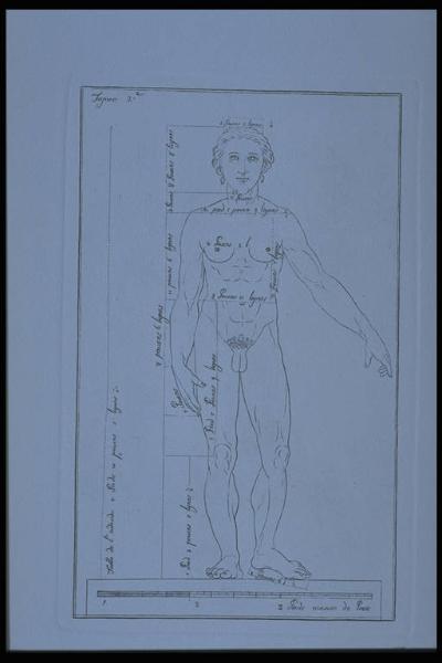 Studio anatomico dell'ermafrodito Giacoma Fiorini
