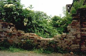 Mura del castello di Pinarolo Pò