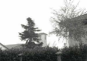 Palazzo Frigerio, Velini, Bonazzi