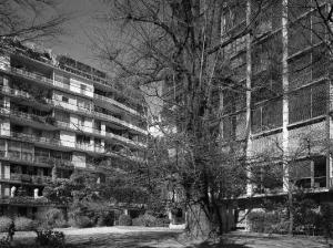 Condominio ai giardini d'Arcadia, Milano (MI) - fotografia di Introini, Marco (2016)