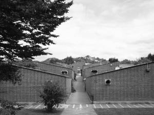 Case a patio distribuite e uno dei percorsi pedonali interni - fotografia di Introini, Marco (2015)