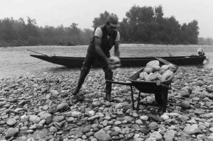 Sergio Cordani. Raccolta di sassi nell'alveo del fiume Ticino.