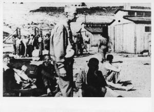 Seconda guerra mondiale - Polonia - Campo di concentramento di Auschwitz (?) o Lublino-Majdanek (?) - Nazismo - Dopo la liberazione - Sopravvissuti - Baracche