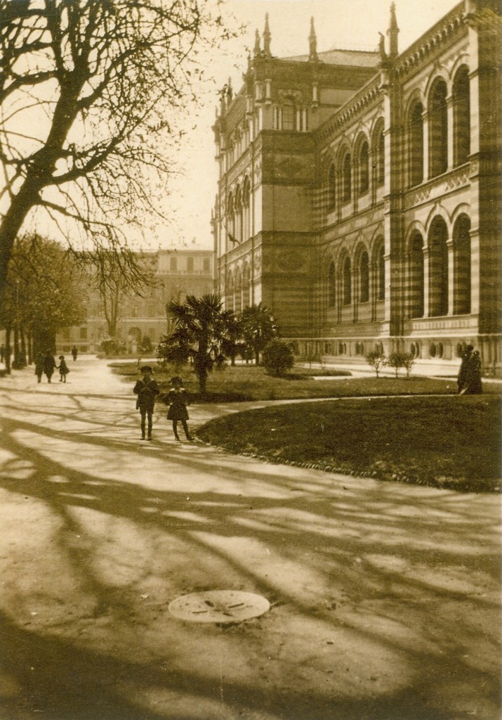 Il Museo di storia naturale, 1918