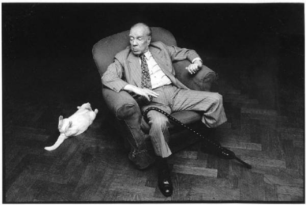 Brasile, Buenos Aires - Abitazione, interno - Ritratto maschile - Jorge Luis Borges in poltrona, scrittore argentino - Gatto