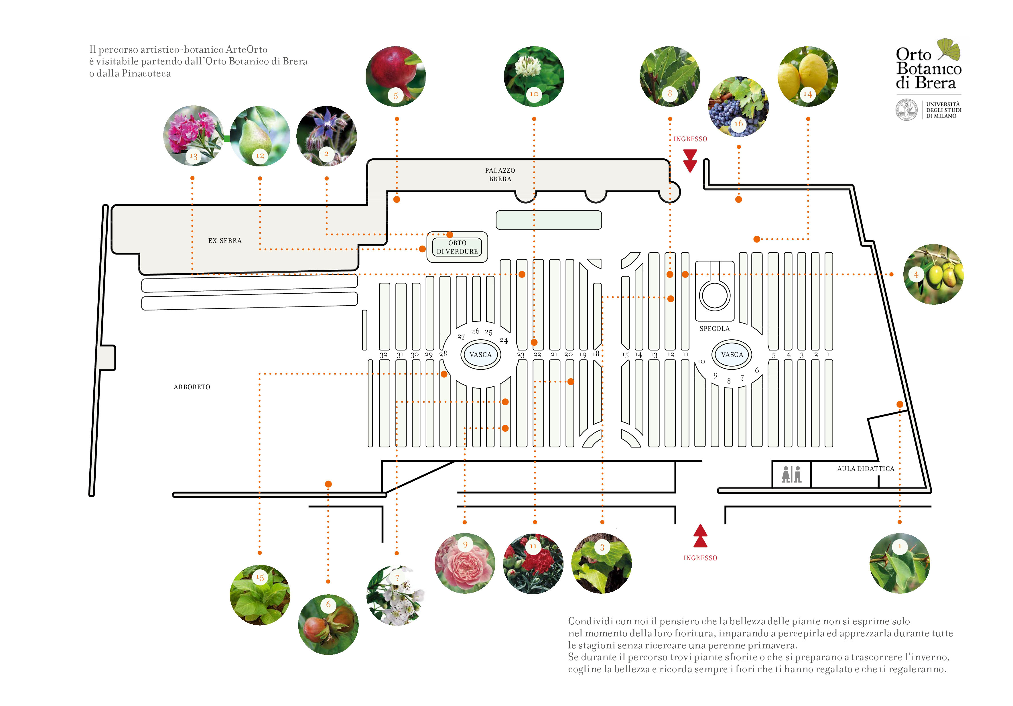 La mappa delle piante del percorso in Orto Botanico 