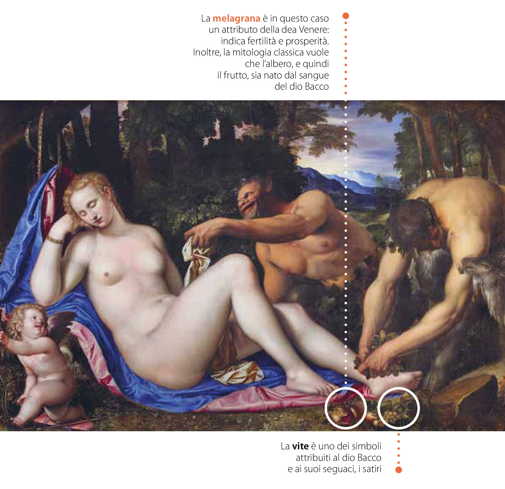 Pagina del libretto-guida del percorso dedicata a Venere e Cupido con due satiri in un paesaggio, 1570 ca, di Simone Peterzano e melograno (Punica granatum L.)