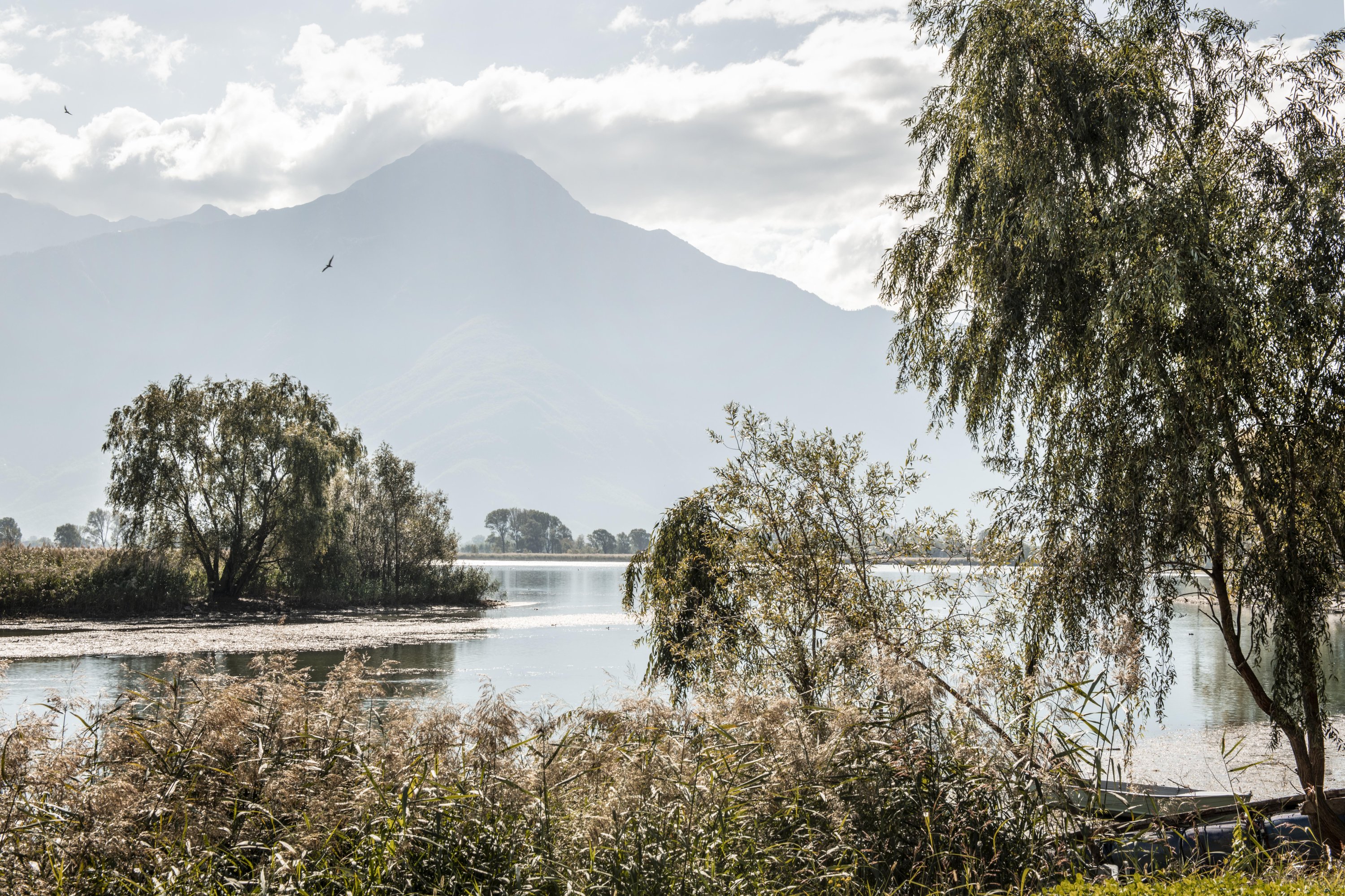 Figura 14 - Il lago di Mezzola - Foto di Francesco Radino