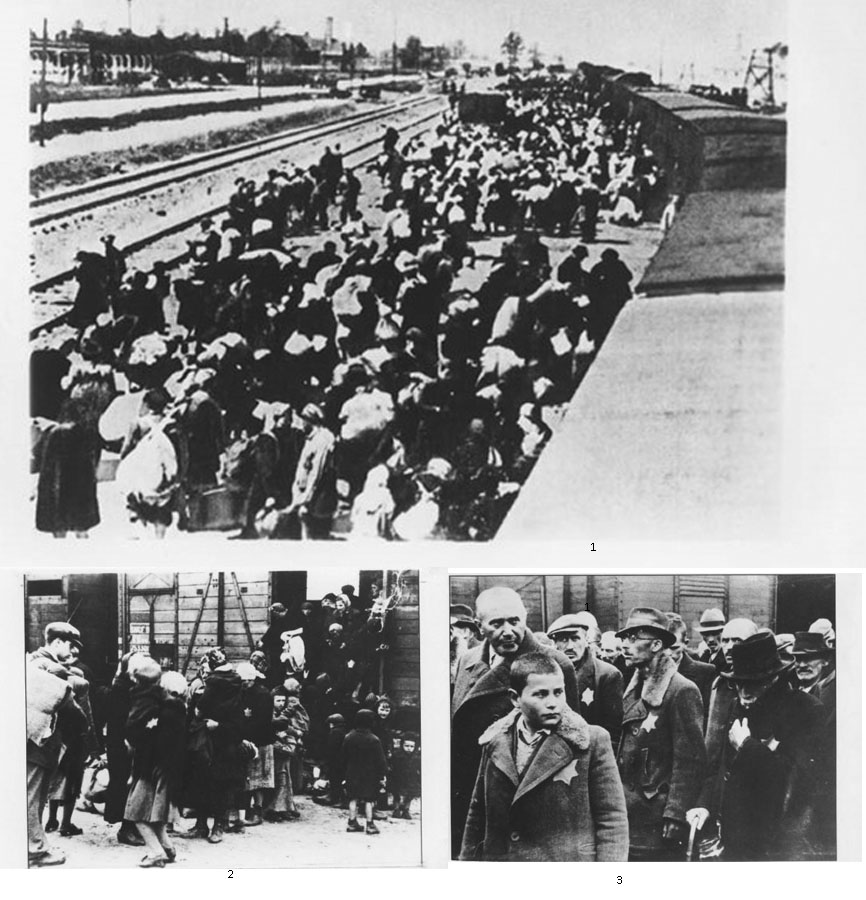 Arrivo di deportati ebrei dall’Ungheria nel campo di concentramento di Auschwitz-Birkenau con un treno carro-bestiame
