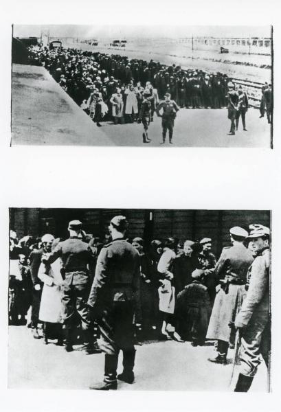 CI deportati ebrei vengono divisi dalle SS in due gruppi, da una parte gli uomini e dall’altra le donne e i bambini, per poi passare alla prima tappa della selezione. 