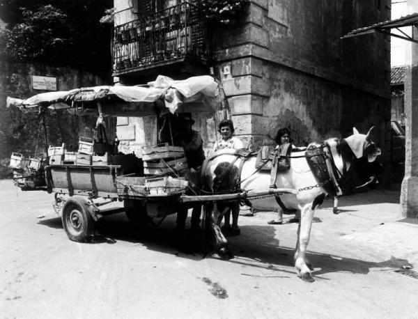 Il carretto del fruttivendolo. Carretto trainato da cavallo. Bellamio, Otello