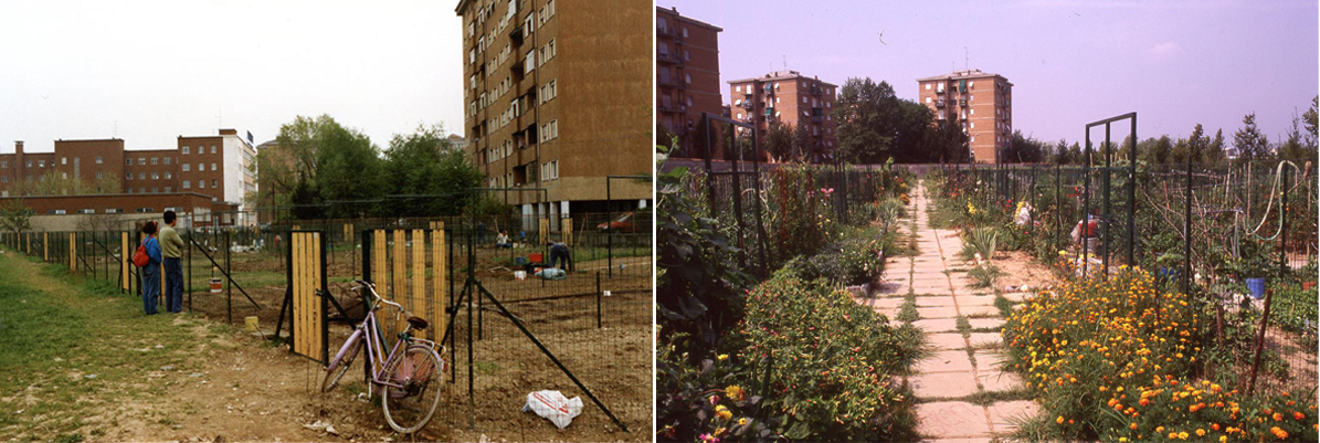 Parco Nord, orti sociali vicini all'ingresso di viale Suzzani appena ultimati, 1988 © Anonimo - Parco Nord, orti sociali Borromeo, 1997 © Massimo Urso - Archivio fotografico Parco Nord Milano