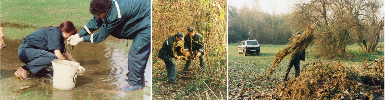 Parco Nord, Guardie Ecologiche Volontarie impegnate nella raccolta di uova e girini in pozze d'acqua temporanee, 1993 © Anonimo ; Parco Nord, Guardia Ecologica Volontaria impegnata nel lavoro di pulizia del Boschetto Gev, 2000 © Anonimo - Archivio fotografico Parco Nord Milano