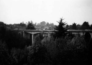 Ponte Viario