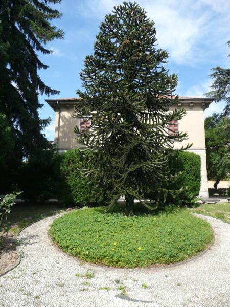 Villa Erminia