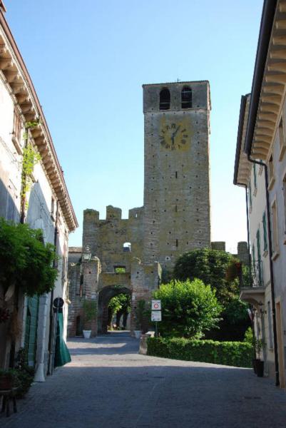 Mura del castello di Castellaro Lagusello
