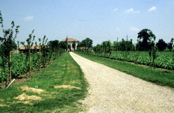 Villa Veneri